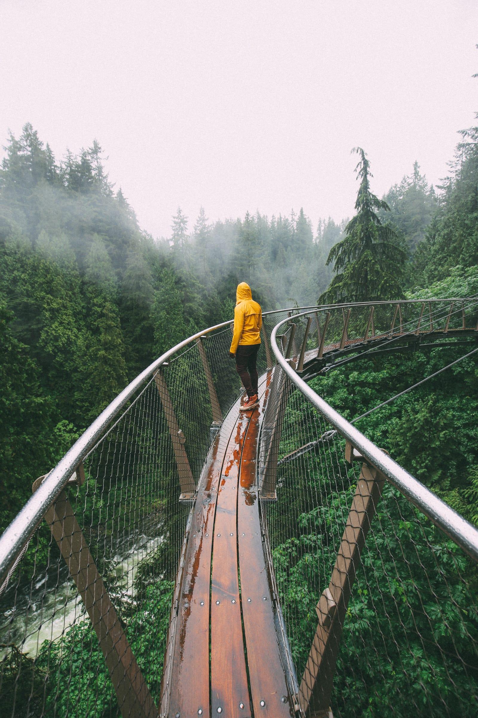 Capilano Suspension Bridge Wallpapers - Top Free Capilano Suspension ...