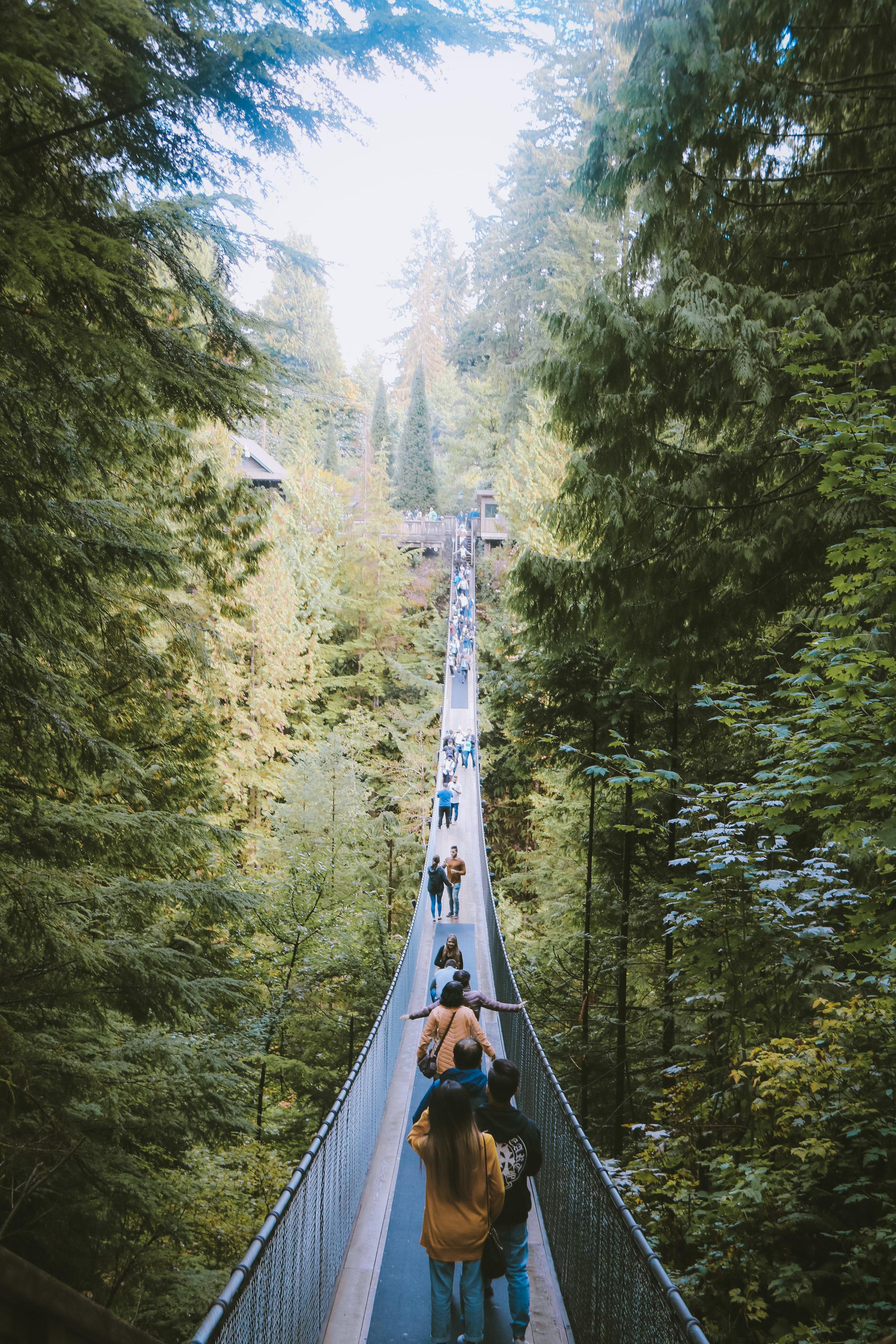 Capilano Suspension Bridge Wallpapers Top Free Capilano Suspension Bridge Backgrounds