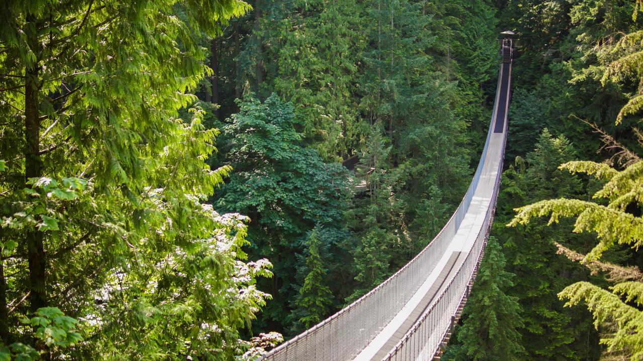1280x720 A Day Trip to Capilano Suspension Bridge Park in Vancouver See the World