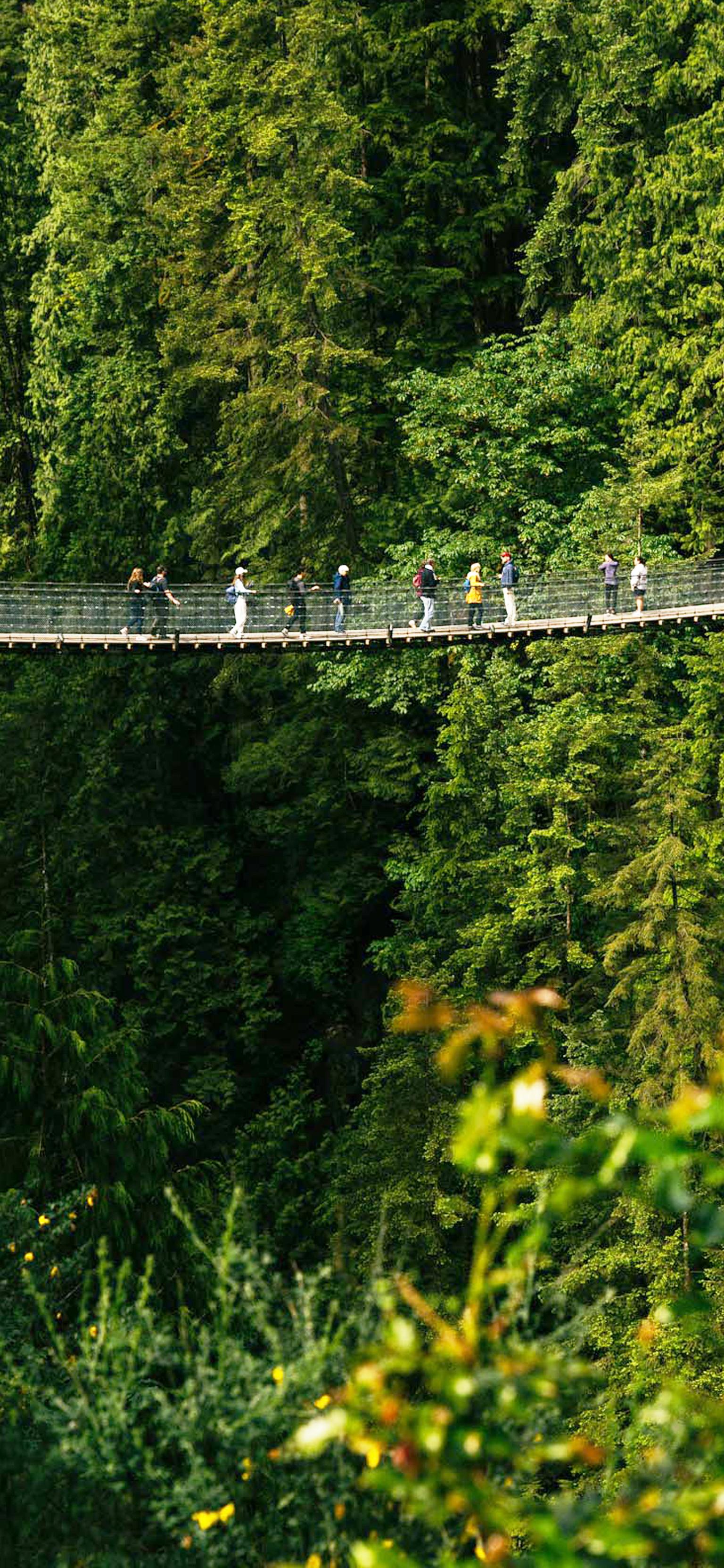 1536x3324 Capilano Suspension Bridge Park. Visit with a Group