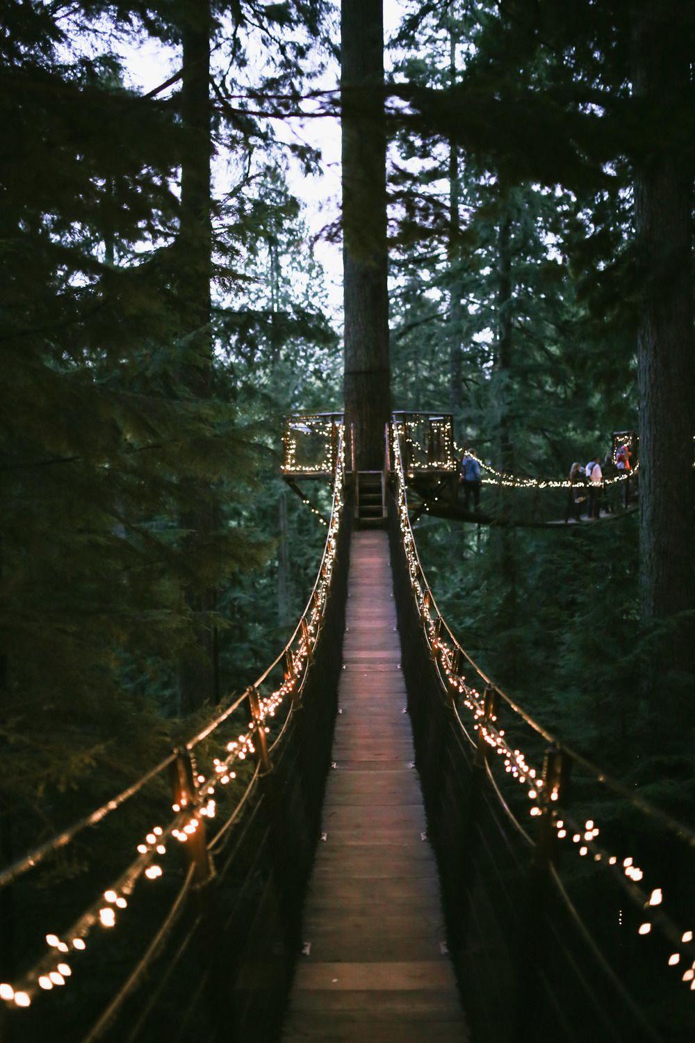 1000x1500 Treetop lights at capilano suspension bridge. Travel, Places to travel, Adventure travel