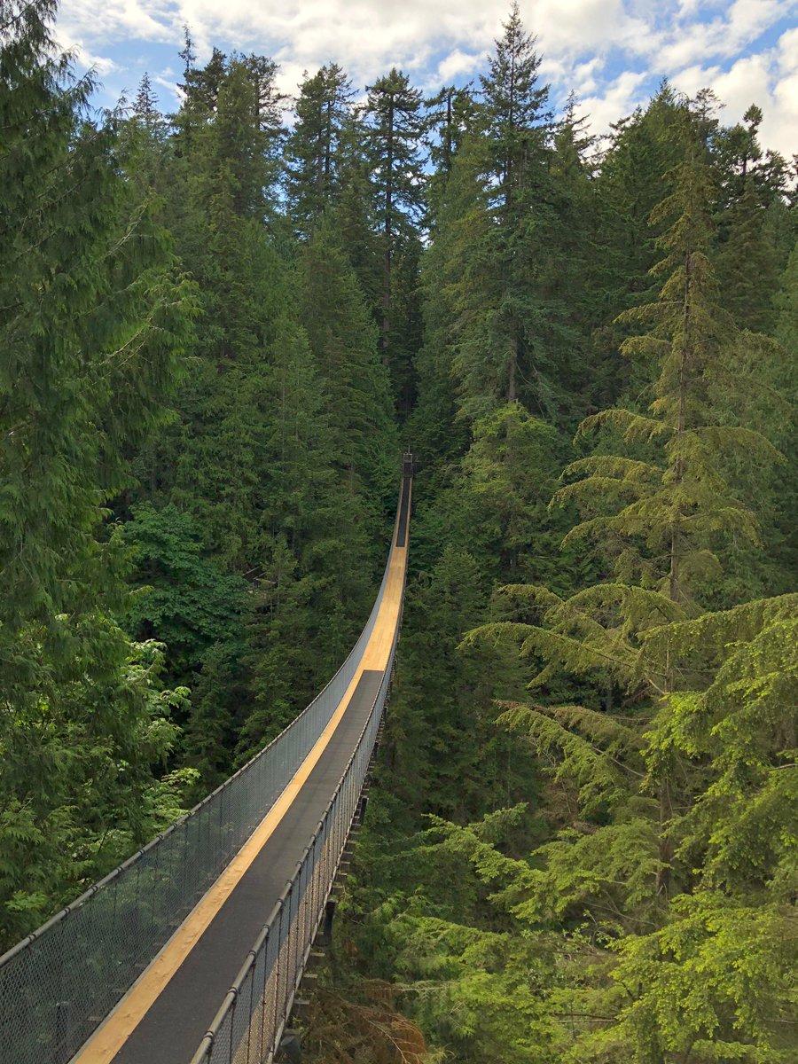 900x1200 Capilano Suspension Bridge Park's The Day When We Re Open Our Park To You! We Can't Express How Excited We Are And Can't Wait To Bridge You All Safely Back