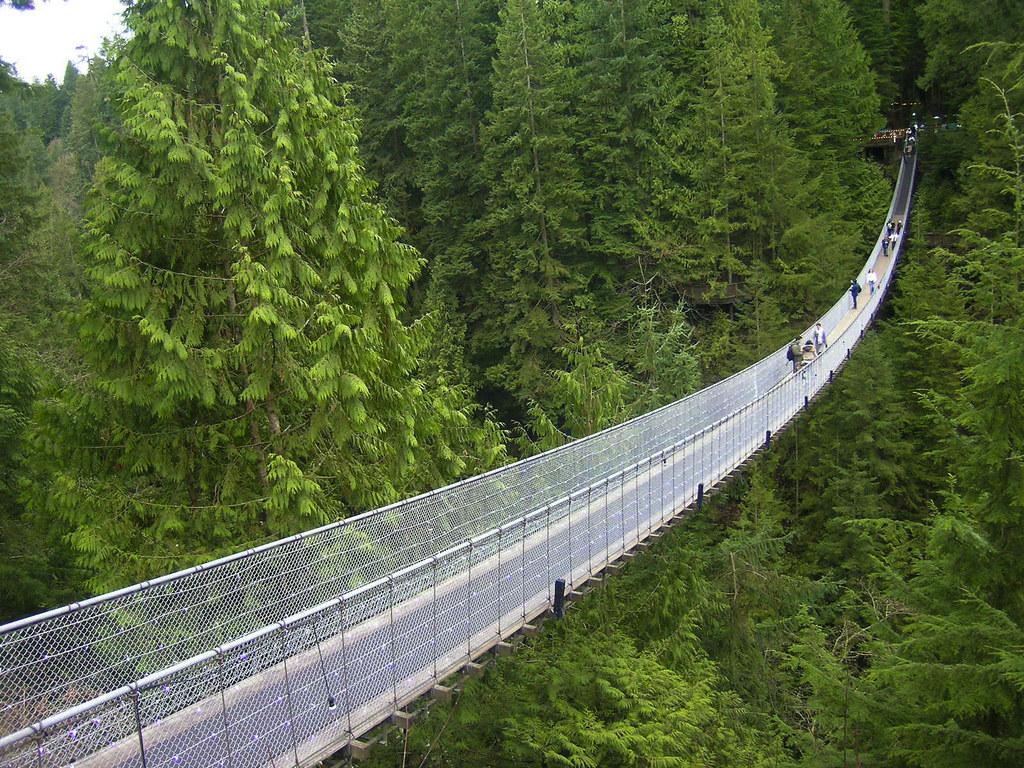 Capilano Suspension Bridge Wallpapers Top Free Capilano Suspension Bridge Backgrounds