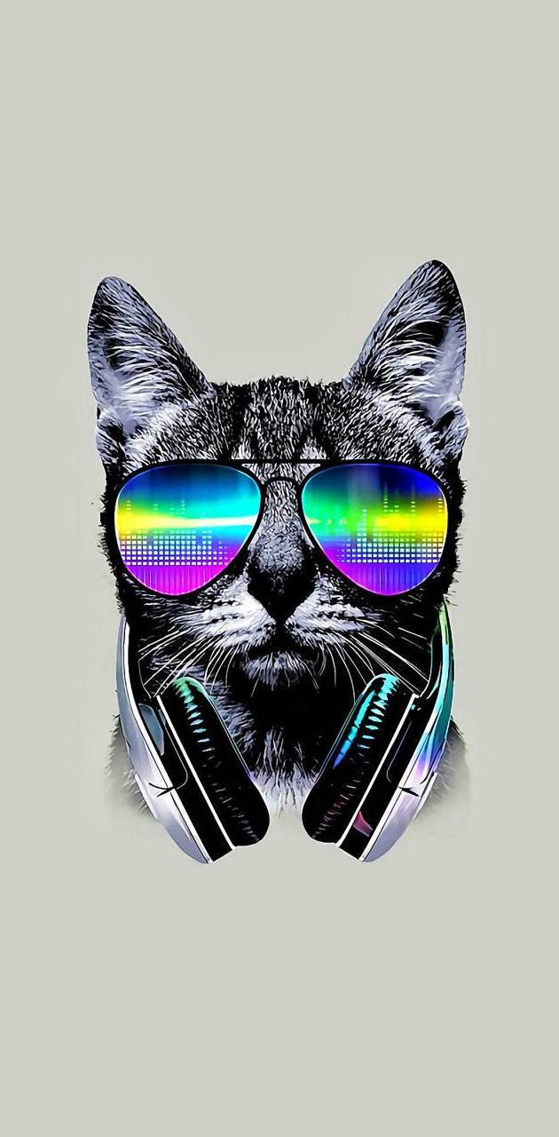 Cool Cat Phone Wallpapers Top Free Cool Cat Phone Backgrounds