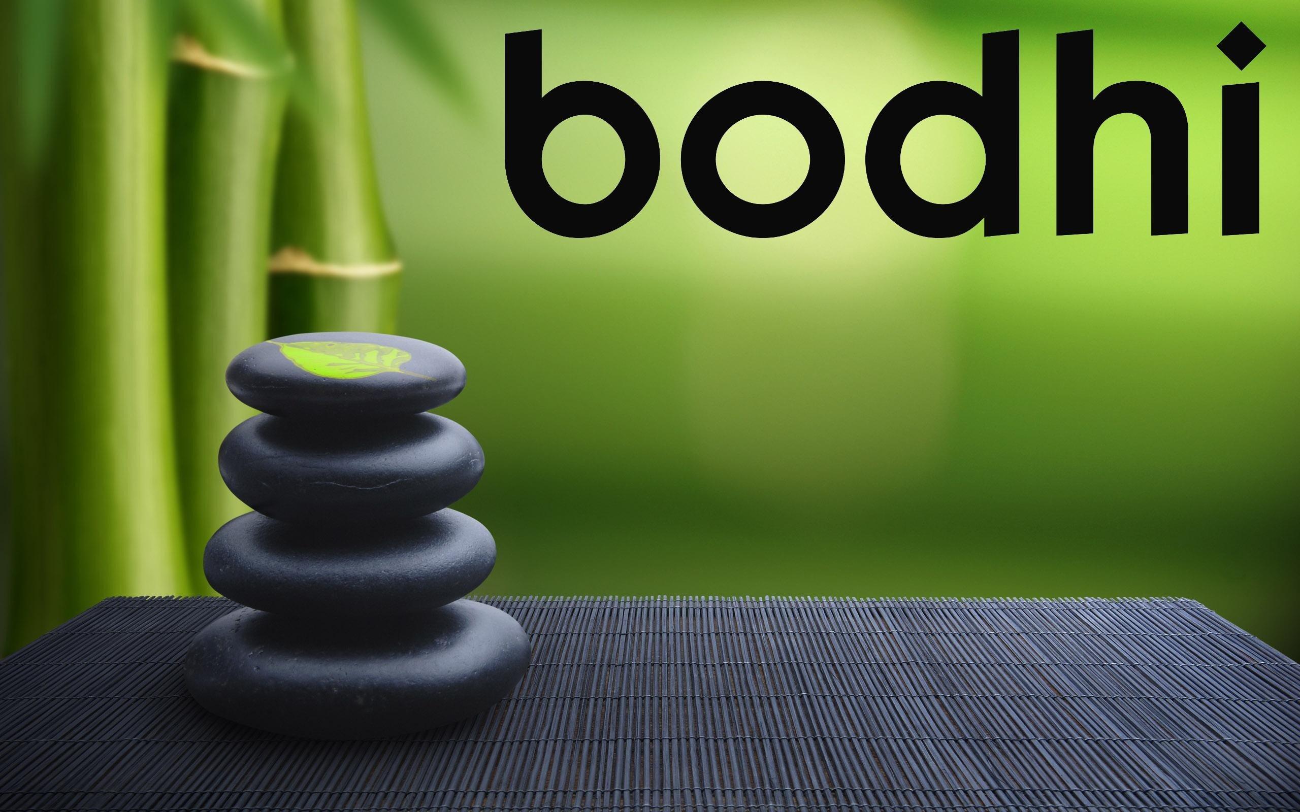 2560x1600 Bodhi Wallpaper
