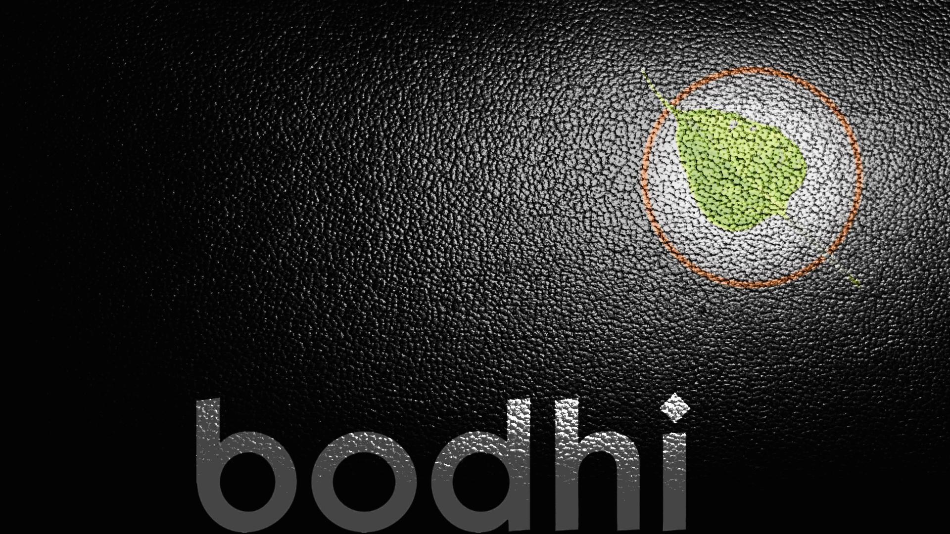 1920x1080 Bodhi Wallpaper