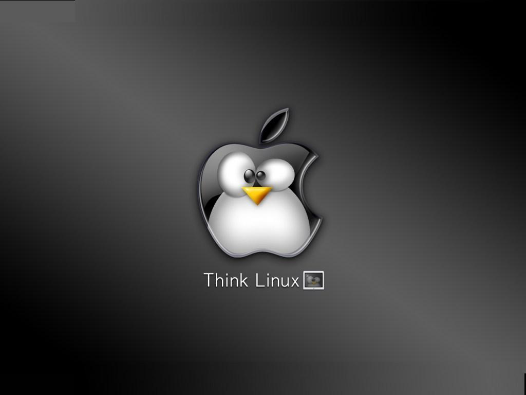 1024x768 Think Linux