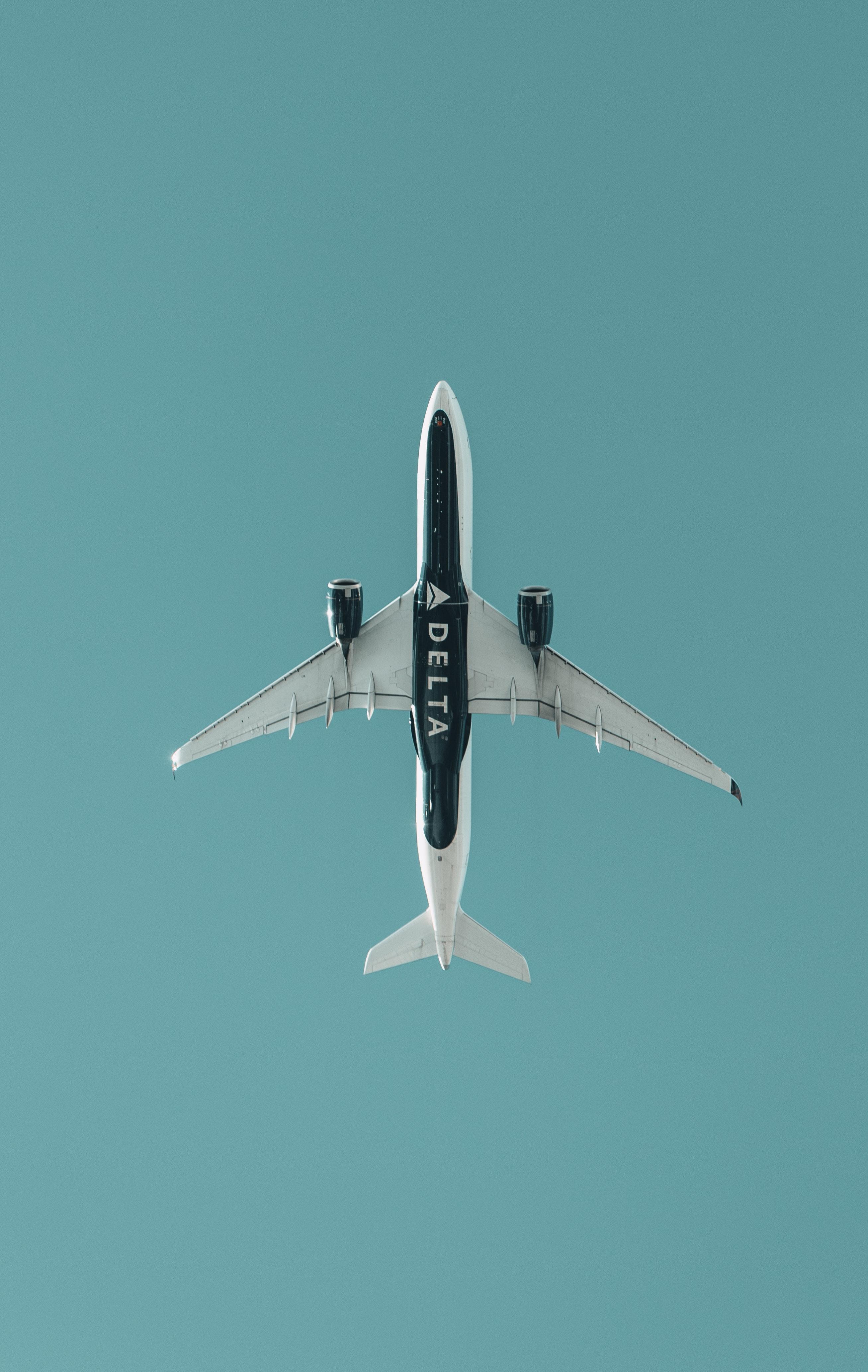 2614x4129 Delta Airline Mobile Wallpaper