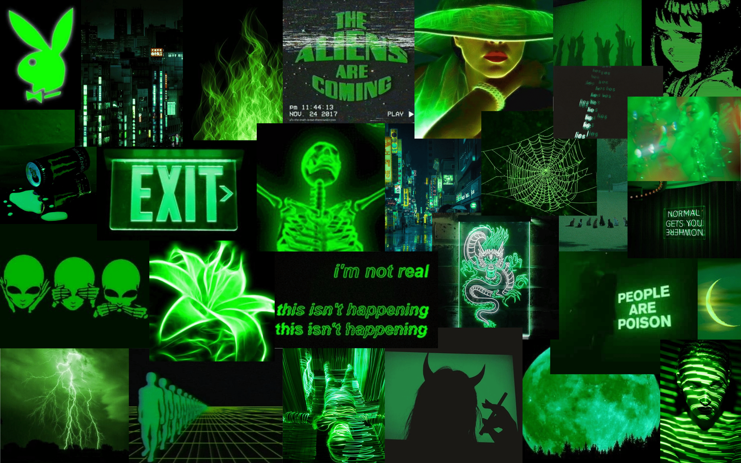 2560x1600 Neon Green And Black Aesthetic Wallpaper