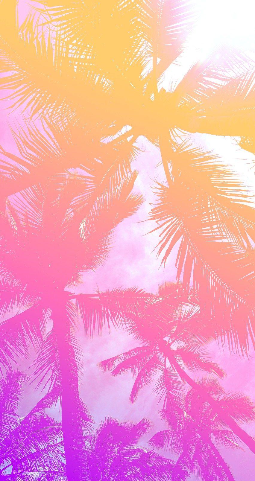 852x1608 Pastel Pineapple hình nền https://wallpaperaccess.com/full/874481.jpg
