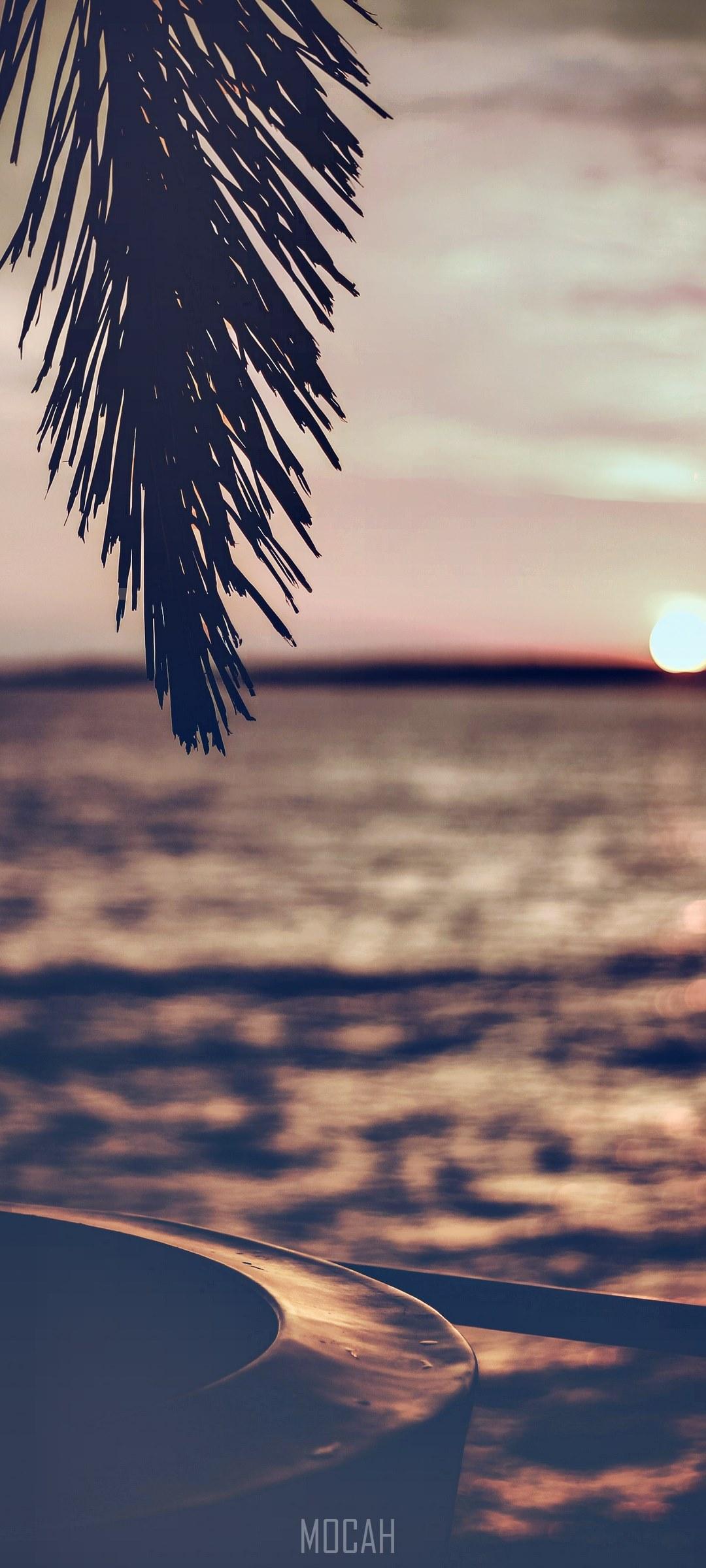 1080x2400 sky sunset palm branch and dusk hd, Realme Narzo 20 Pro full HD wallpaper, 1080x2400 Gallery HD Wallpaper