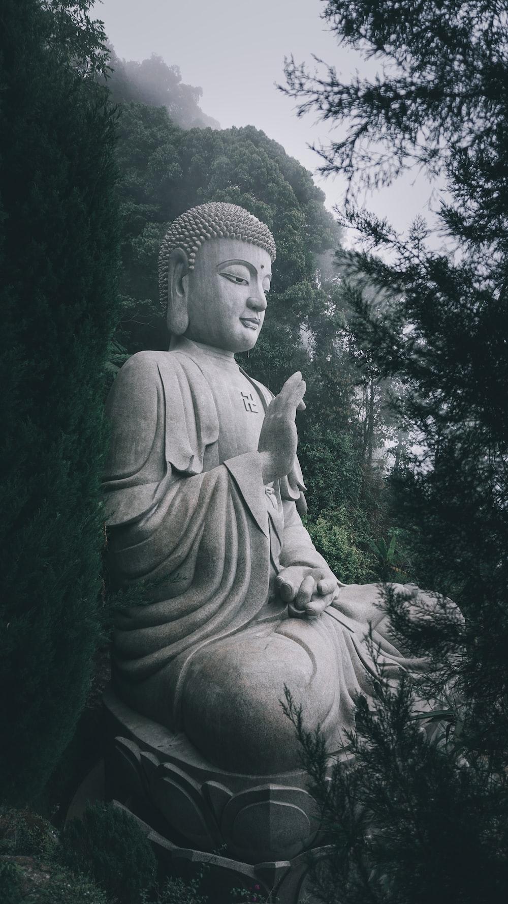 1000x1777 Gautama Buddha Picture [HD]. Download Free Image