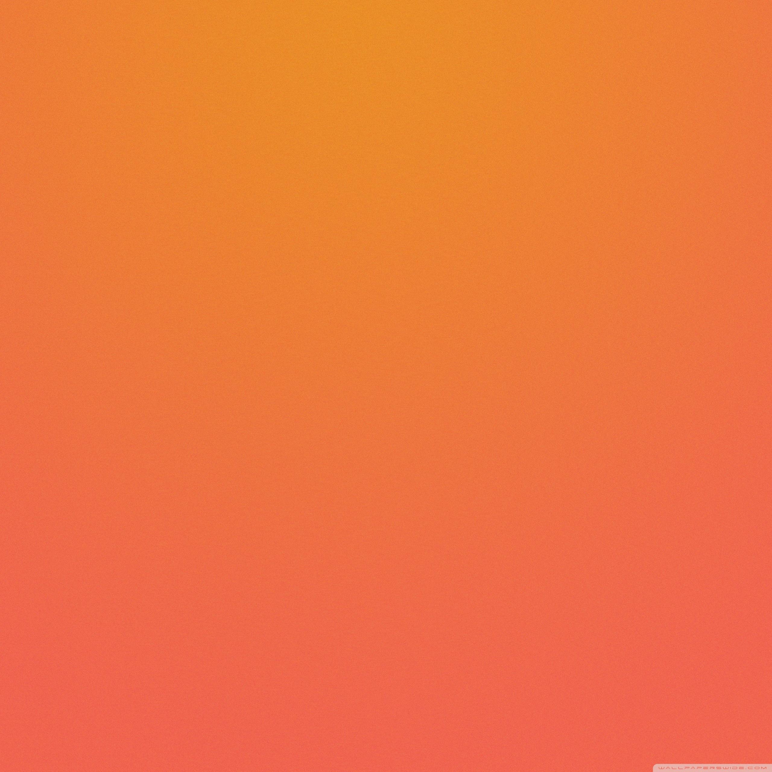 Dell Orange Wallpapers - Top Free Dell Orange Backgrounds - WallpaperAccess