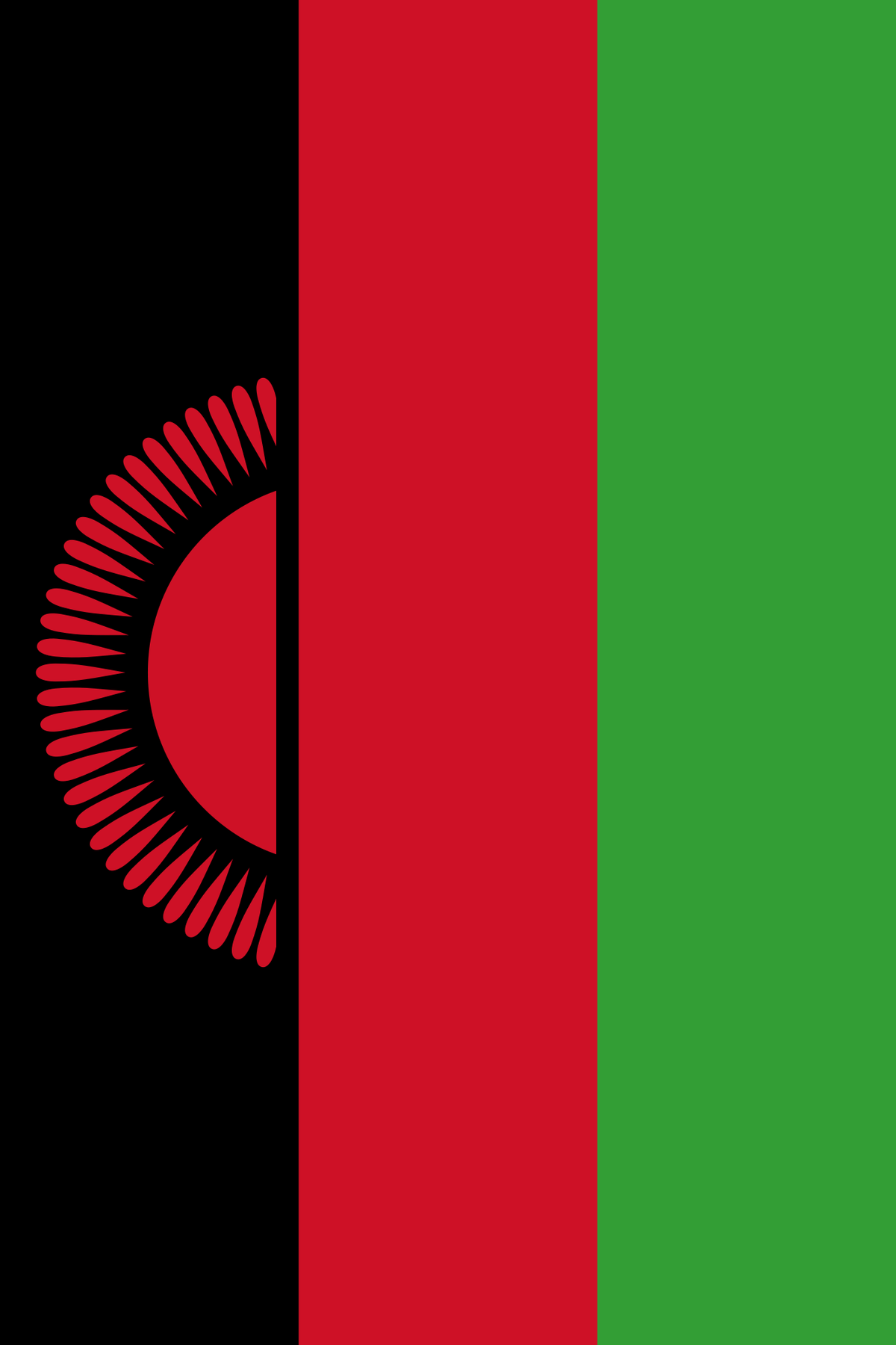 1200x1800 Flag of Malawi (vertical).png