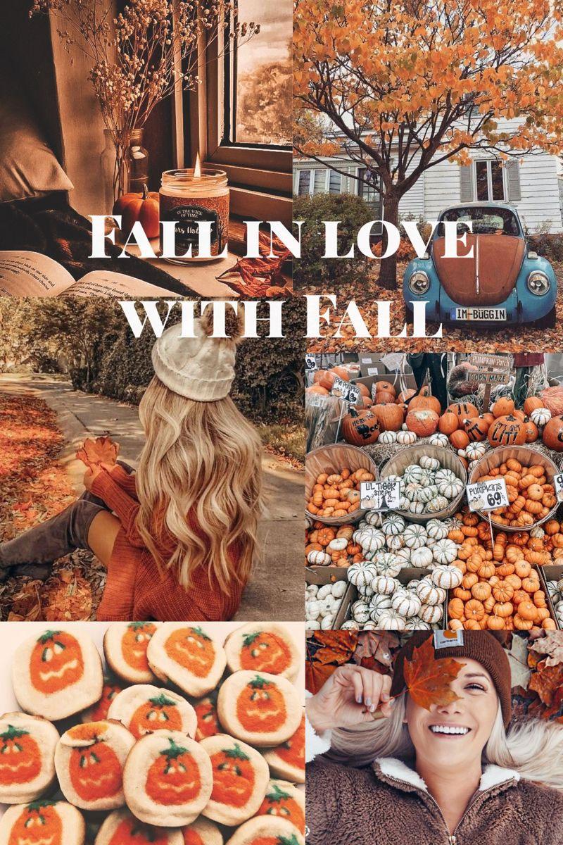 800x1200 Cute Brown Aesthetic Wallpaper for Phone : Fall in Love with Fall I Take You. Wedding Readings. Wedding Ideas
