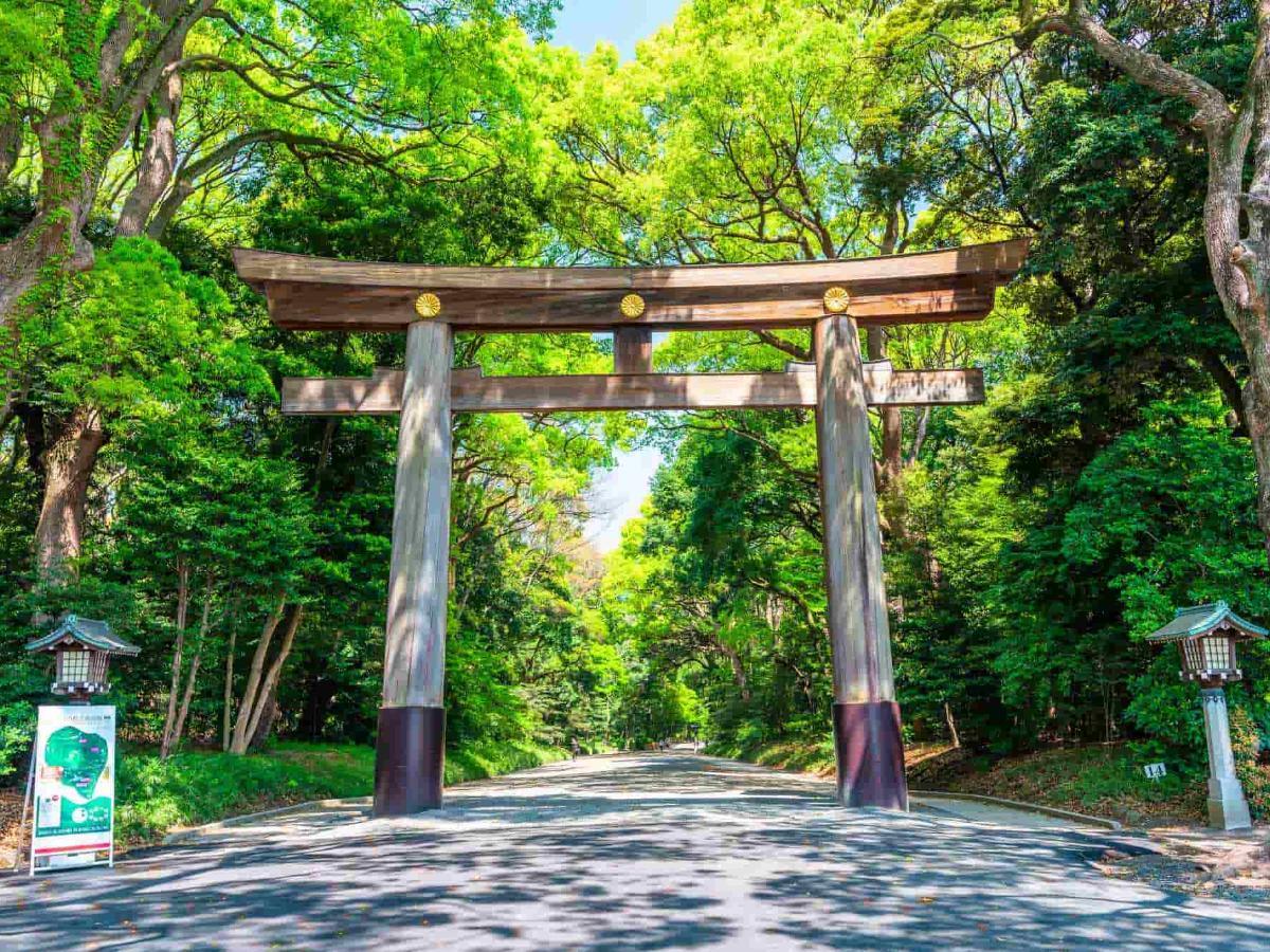 1200x900 Meiji Jingu Shrine: Central Tokyo's Holy Oasis of Nature!｜THE GATE｜Japan Travel Magazine: Find Tourism & Travel Info