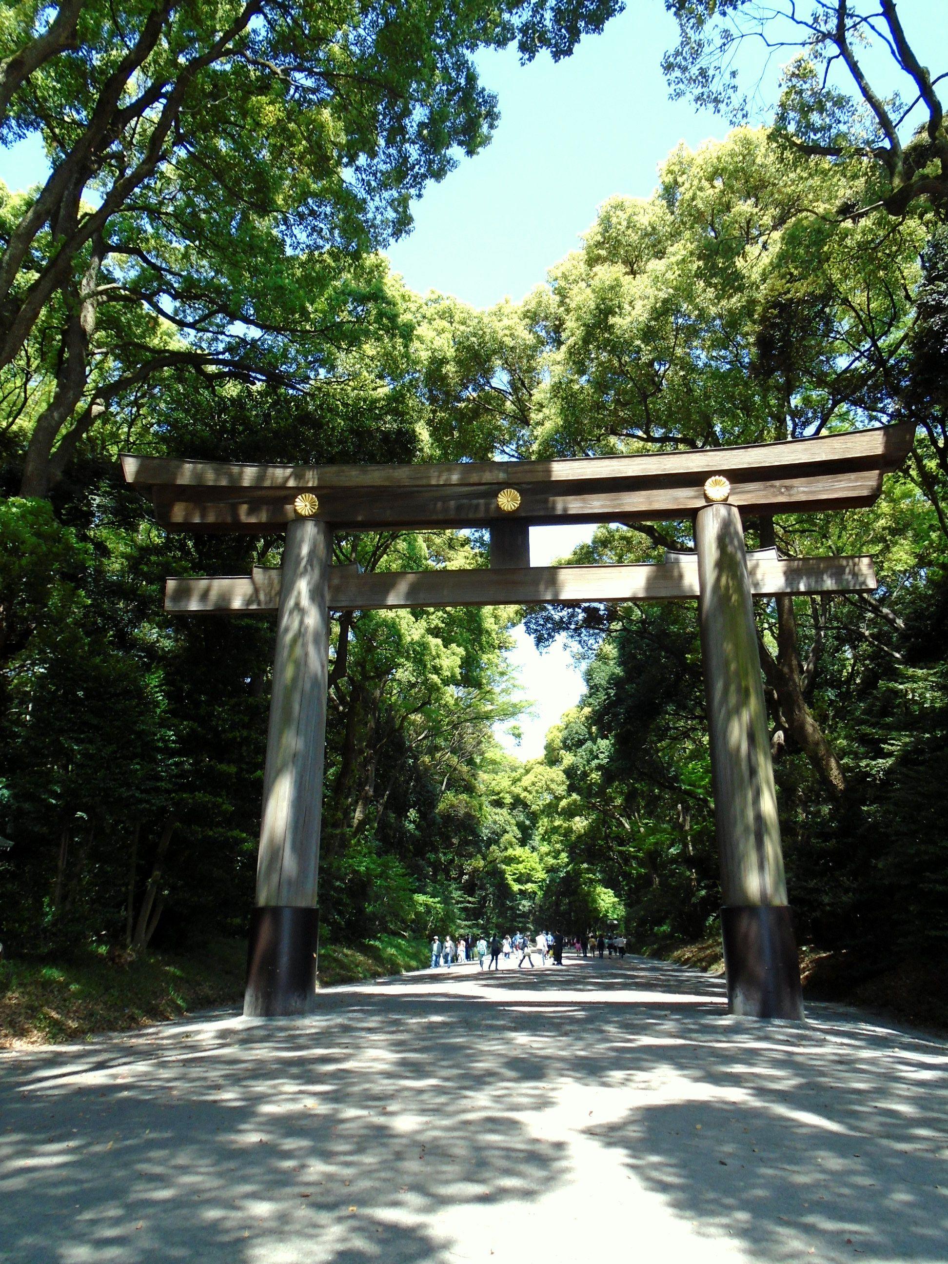 1944x2592 Exploring Tokyo: Meiji Shrine. Meiji shrine, Buddhist temples japan, Japan travel