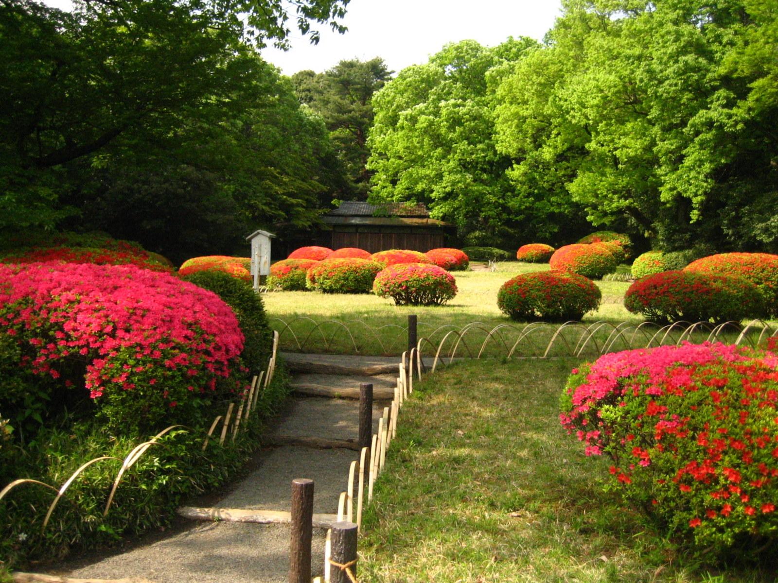 1600x1200 Meiji Shrine Inner Garden