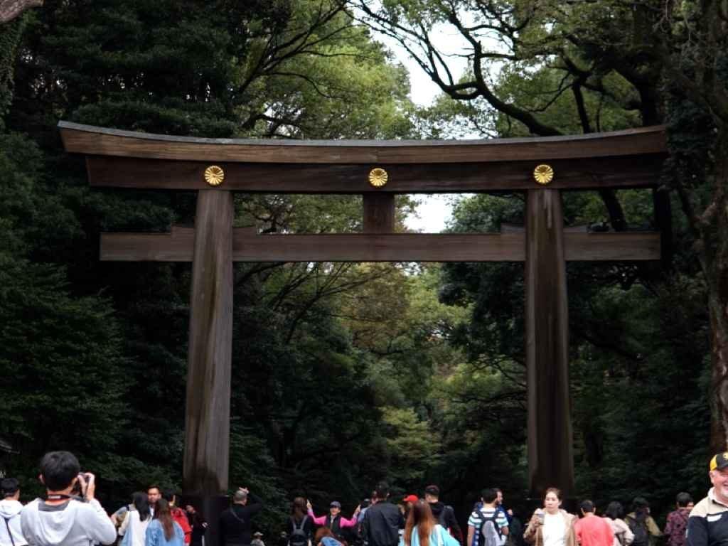 1024x768 Meiji Jingu (Meiji Shrine) Best Japan