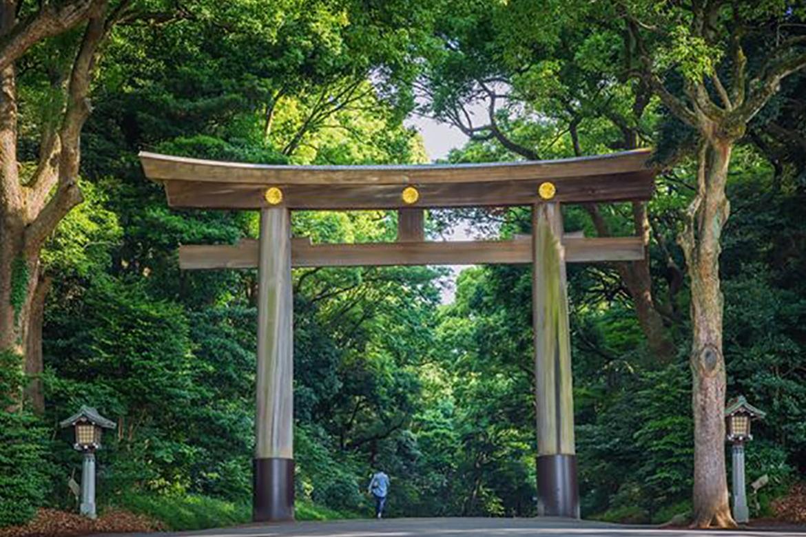 1170x780 Tokyo Tokyo City, Meiji Shrine, Sensoji, & Shibamata Tour And JR East South Hokkaido Pass (6 Days) Package