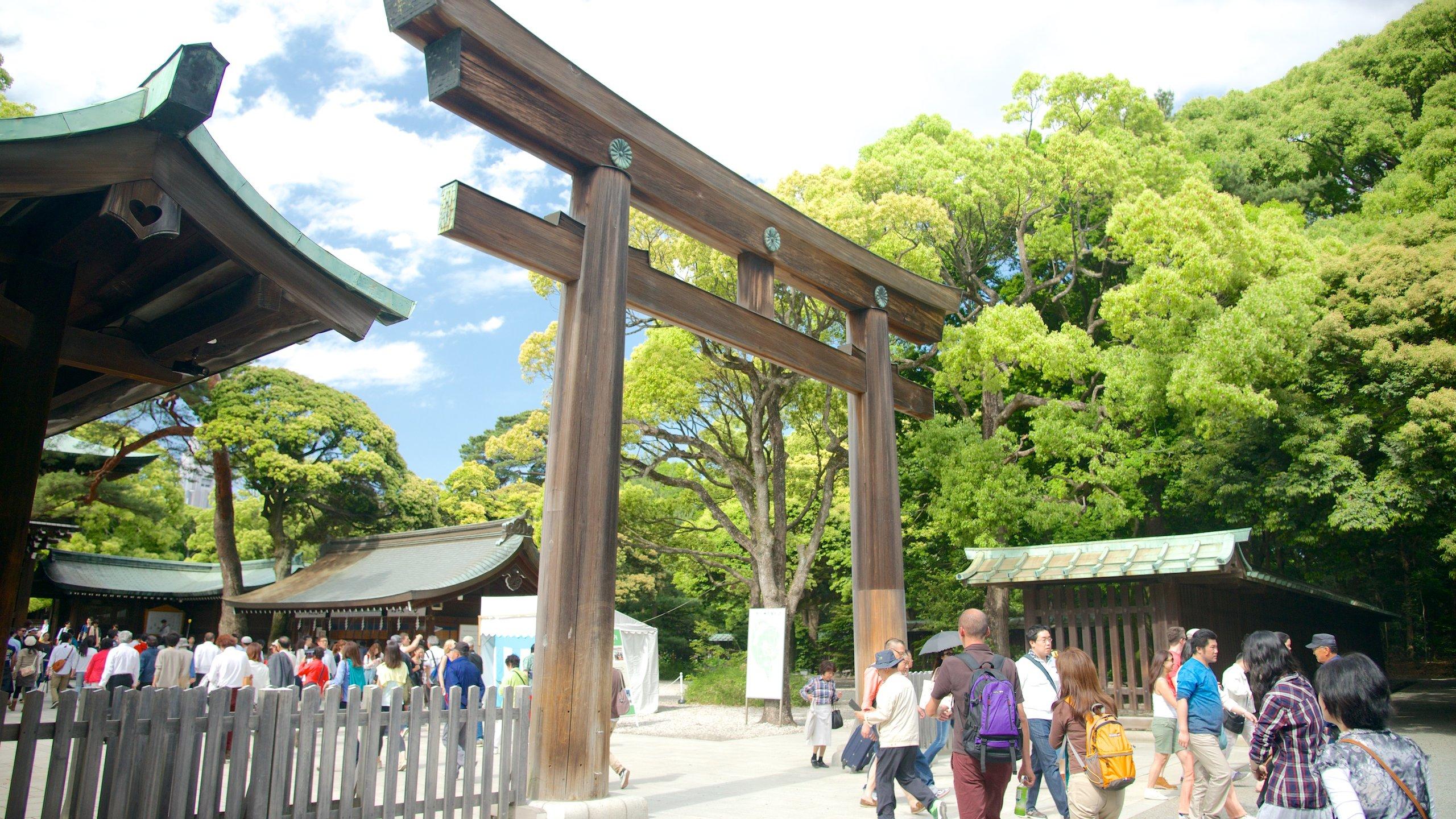 2560x1440 Visit Meiji Jingu Shrine in Shibuya