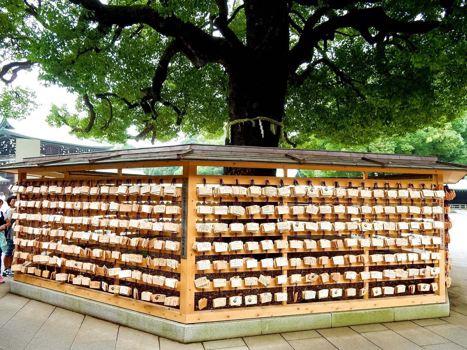 1600x1200 Exploring Meiji Shrine & Yoyogi Park