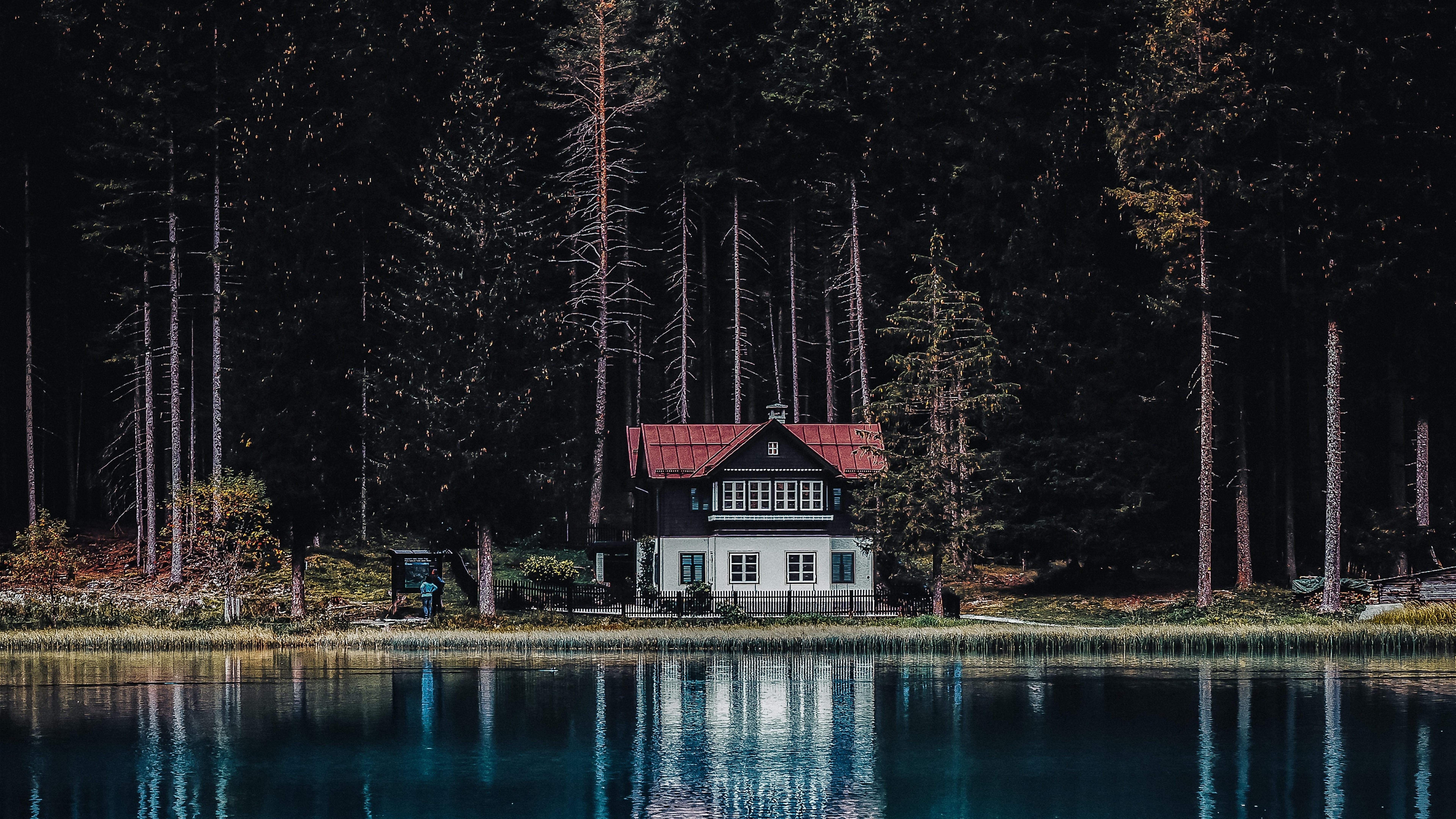 7680x4320 Dark Forest Wallpaper 4K, House, Tall