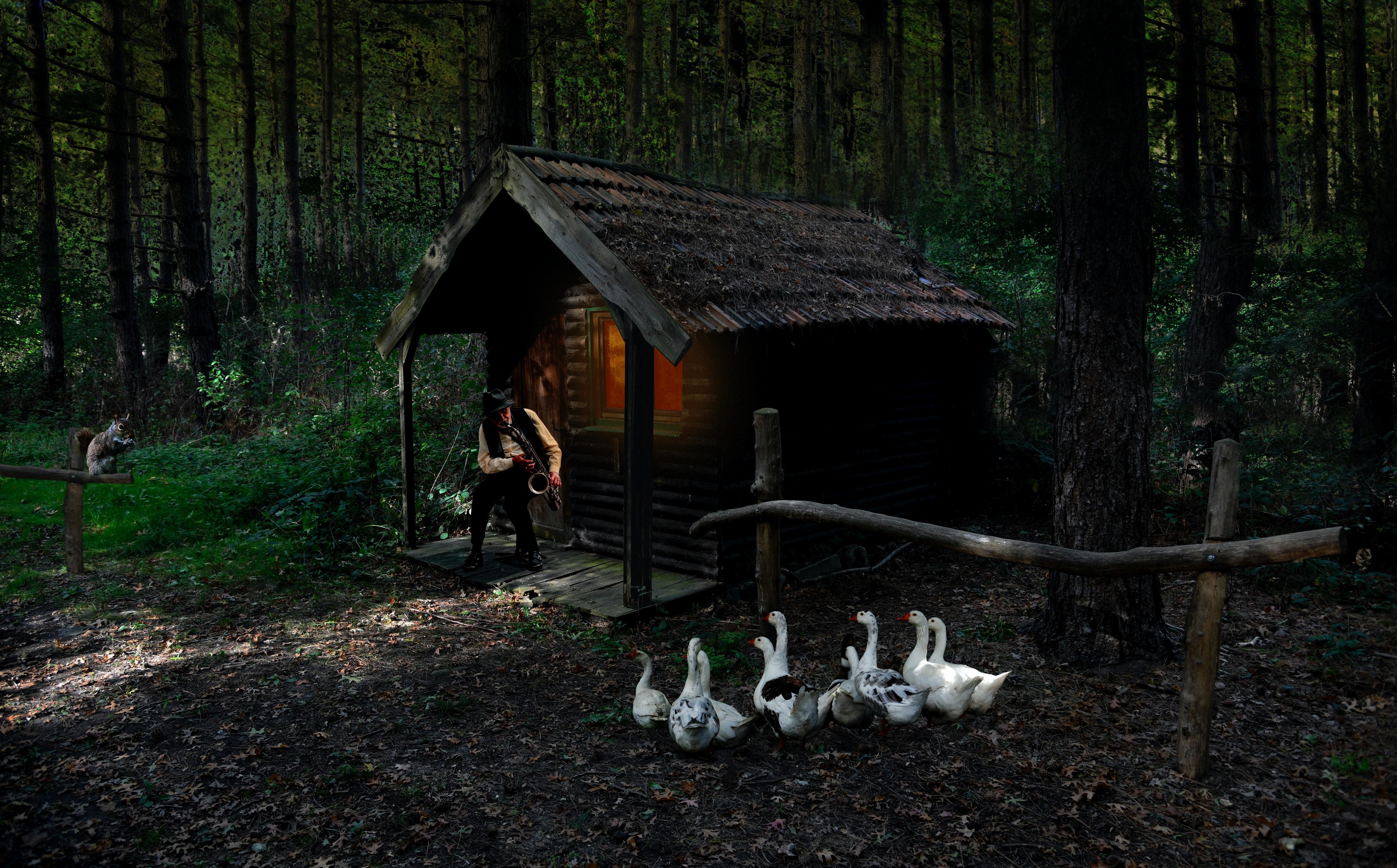 4128x2565 Forest House Photo, Download The BEST
