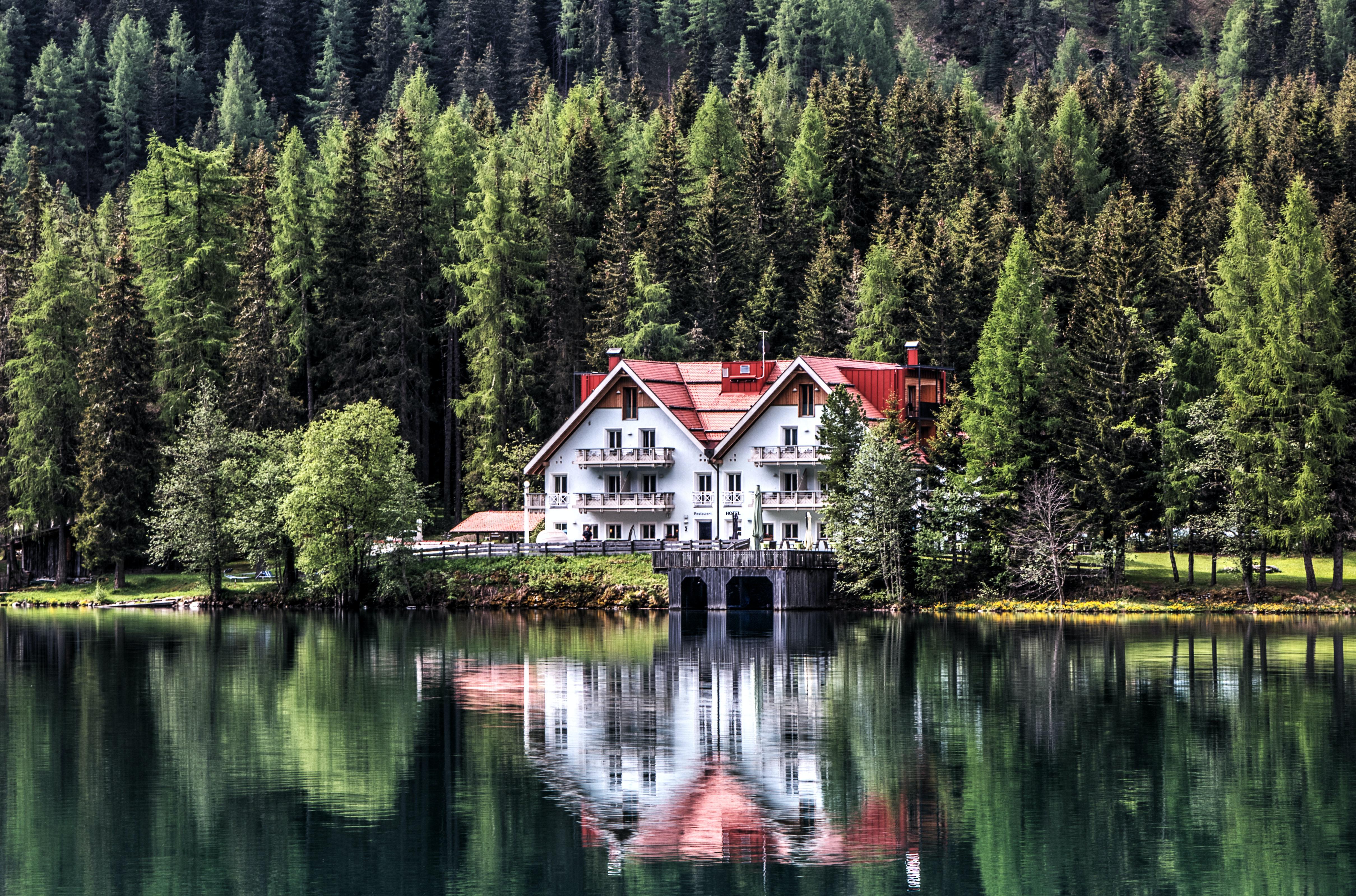 4839x3198 Forest House Photo, Download The BEST