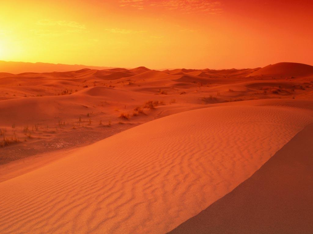 1024x768 The Deserts of the World Golden Scope