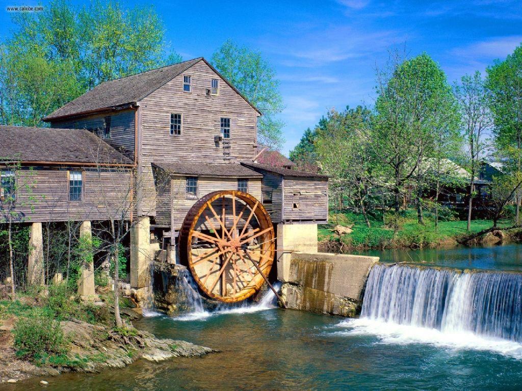 1024x768 Dollywood Wallpaper