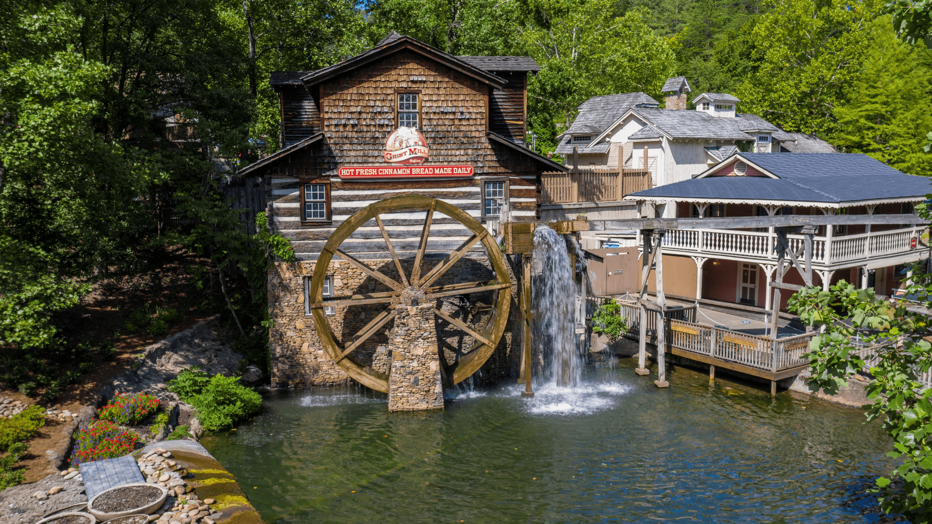 Dollywood Wallpapers Top Free Dollywood Backgrounds WallpaperAccess