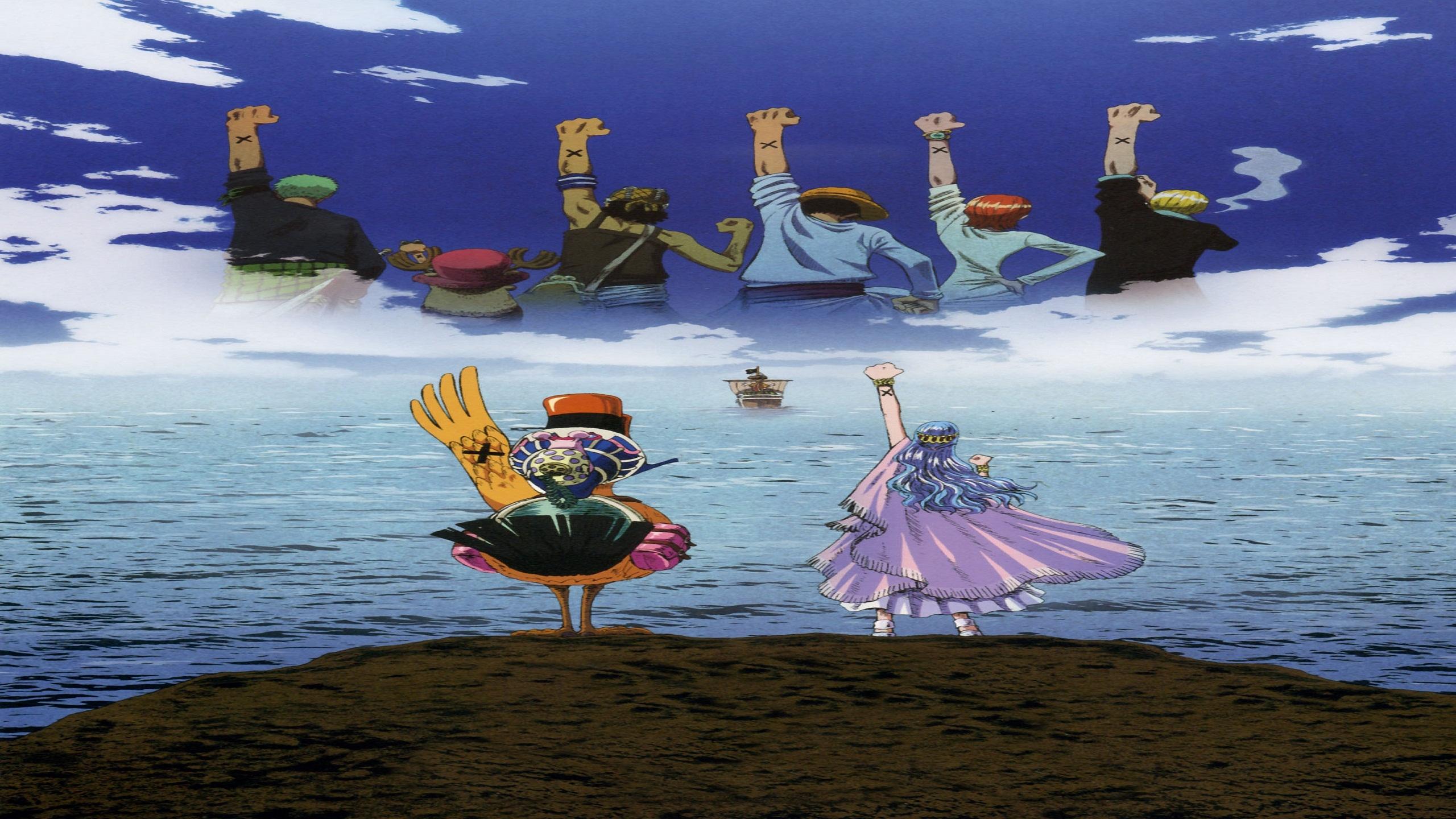 2560x1440 One Piece Nakama desktop PC and Mac wallpaper