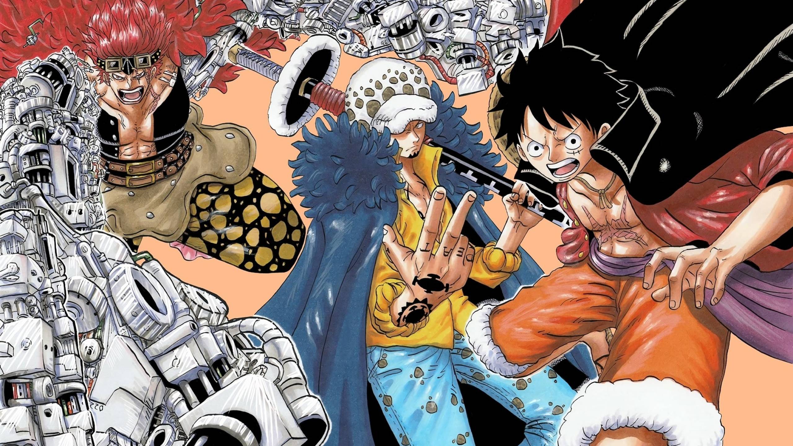 2560x1440 One Piece HD Character 1440P Resolution Wallpaper, HD Anime 4K Wallpaper, Image, Photo and Background