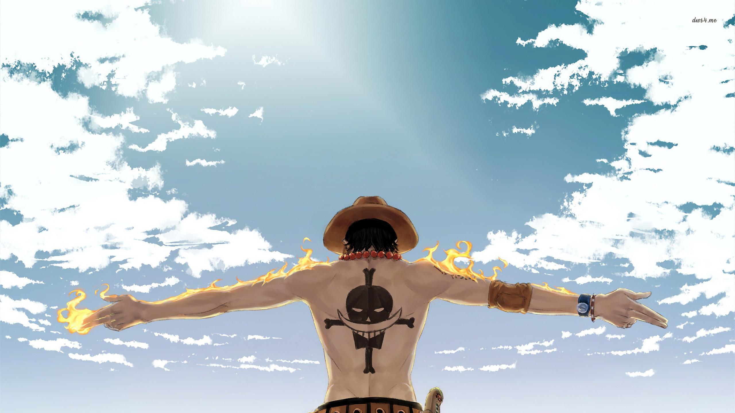 2560x1440 Wallpaper / one piece, anime, hd, 4k free download