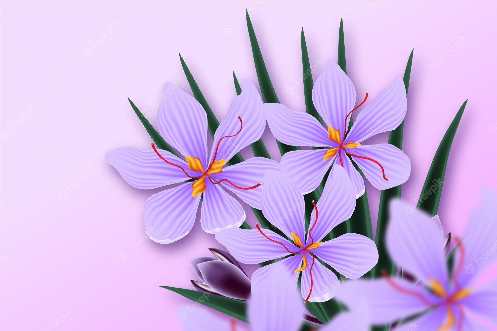 2000x1333 Saffron color Vectors & Illustrations for Free Download