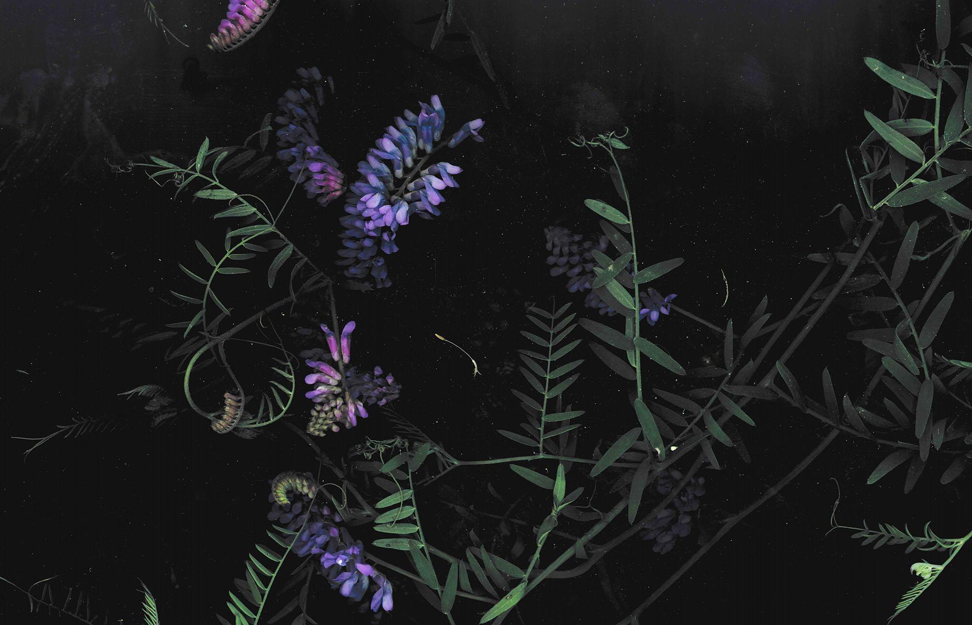 Dark Floral Wallpaper Desktop