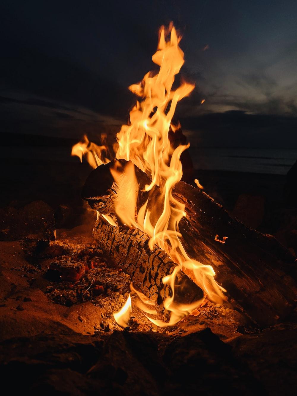 1000x1333 Fire. best free fire, flame, bonfire and campfire photo