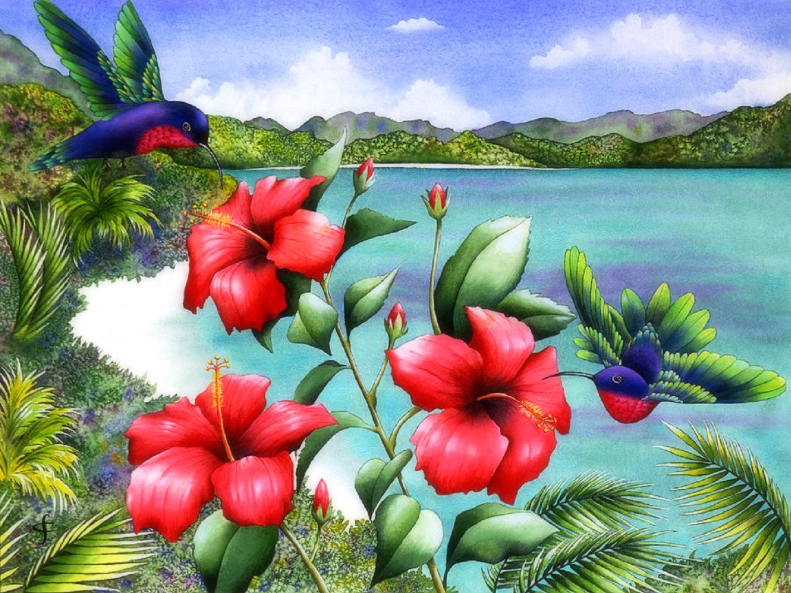 1600x1200 Hummingbirds & Red Hibiscus wallpaper. Hummingbirds & Red Hibiscus
