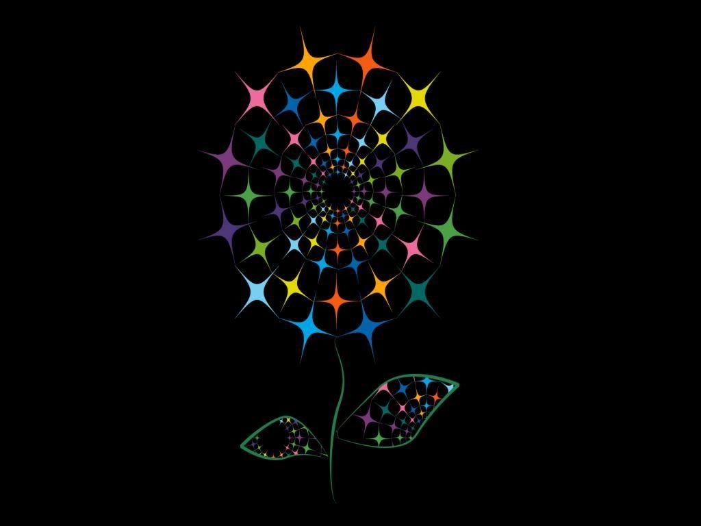 1024x768 NH95TX9 Widescreen Desktop Wallpaper Dark Flower 1920x1200