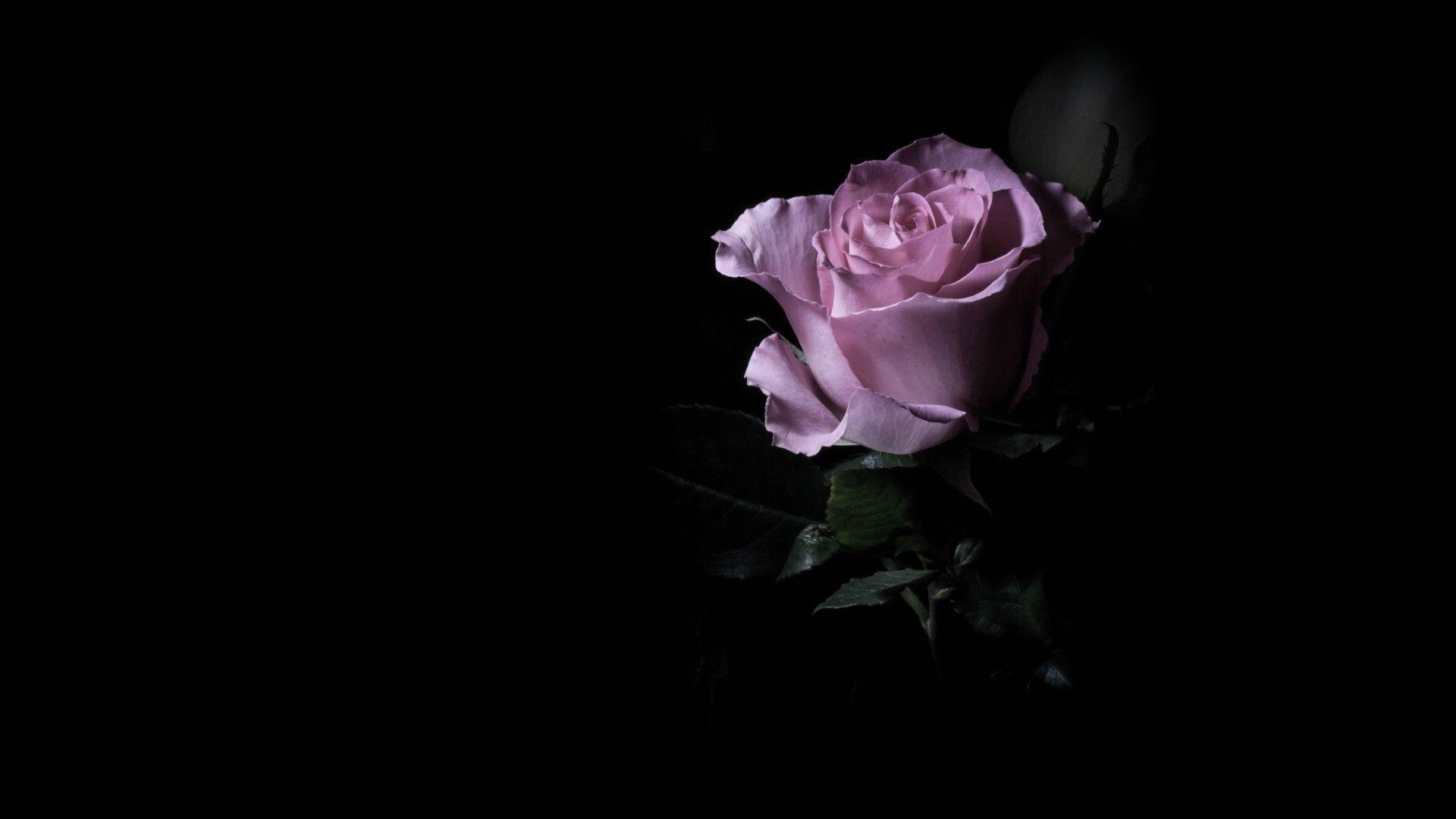 1920x1080 Dark Flower Wallpaper