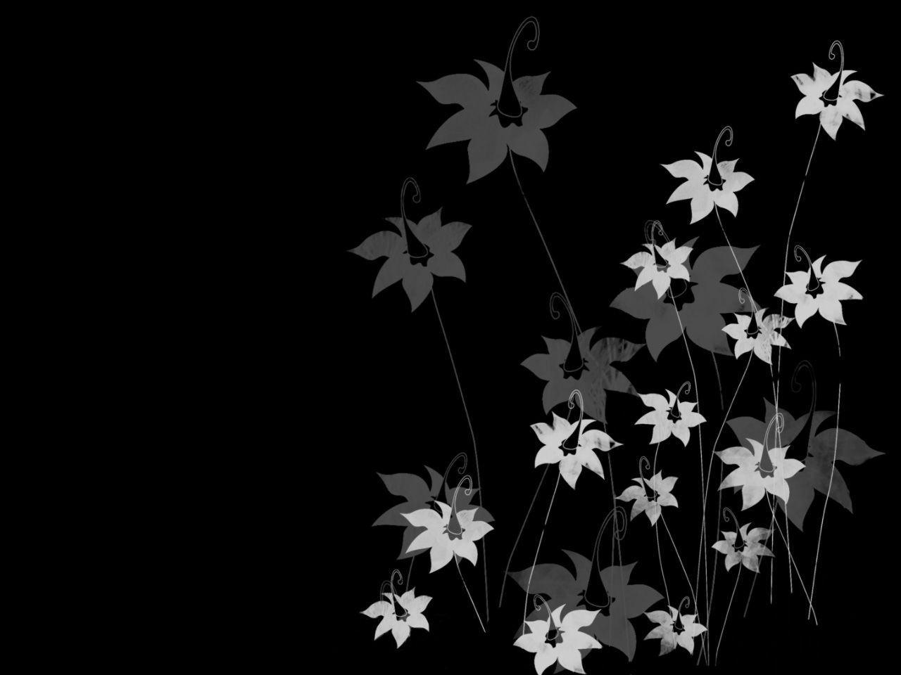 Dark Flowers Desktop Wallpapers Top Free Dark Flowers