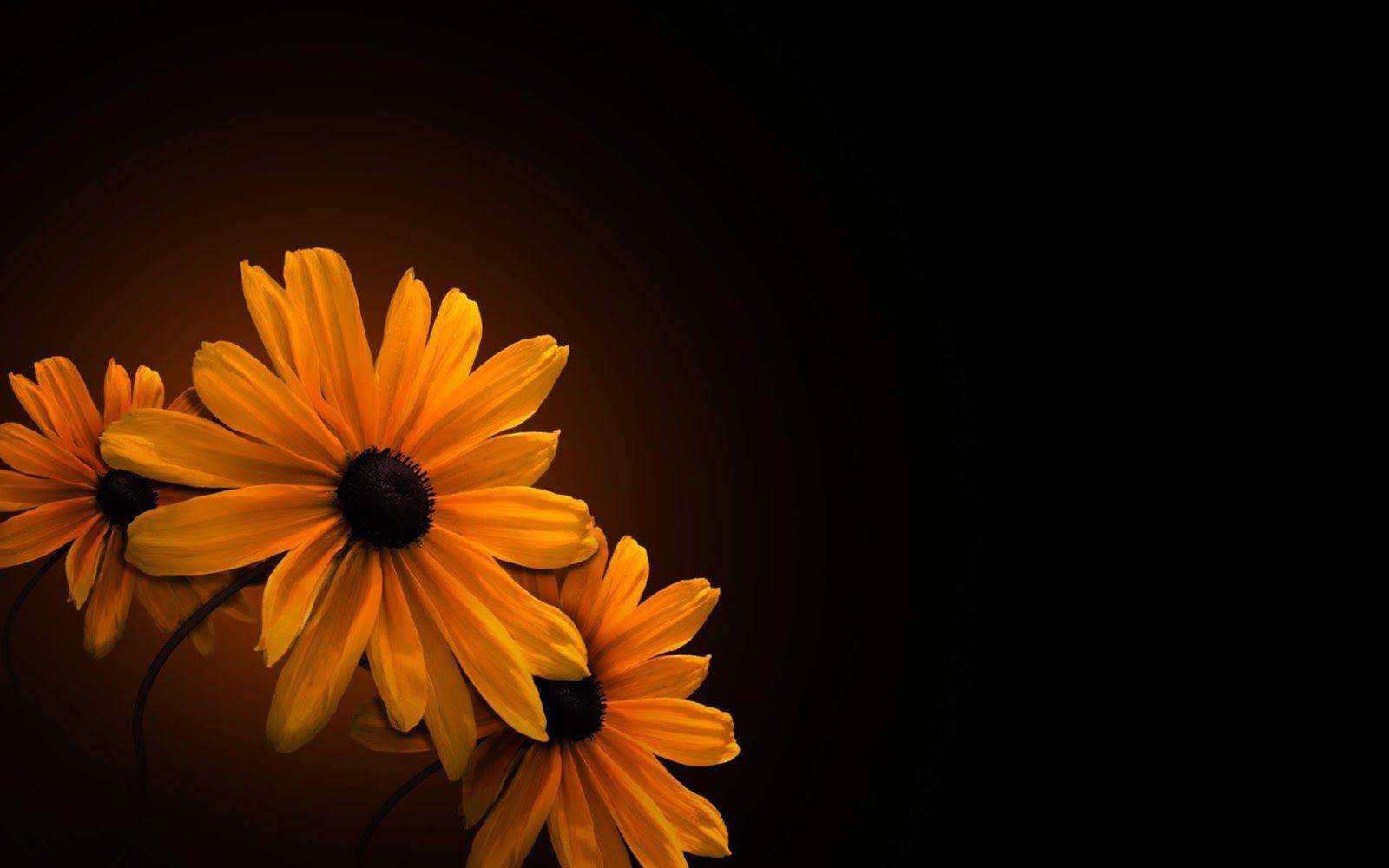 Dark Flowers Desktop Wallpaper