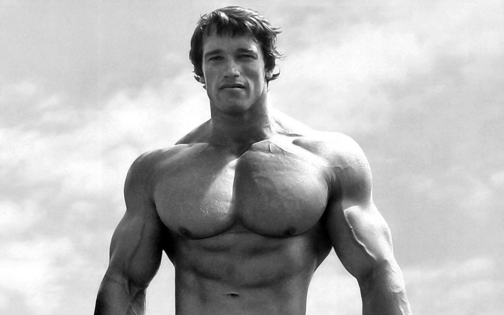 1920x1200 Arnold Schwarzenegger. desktop wallpaper. Exercise & Fitness