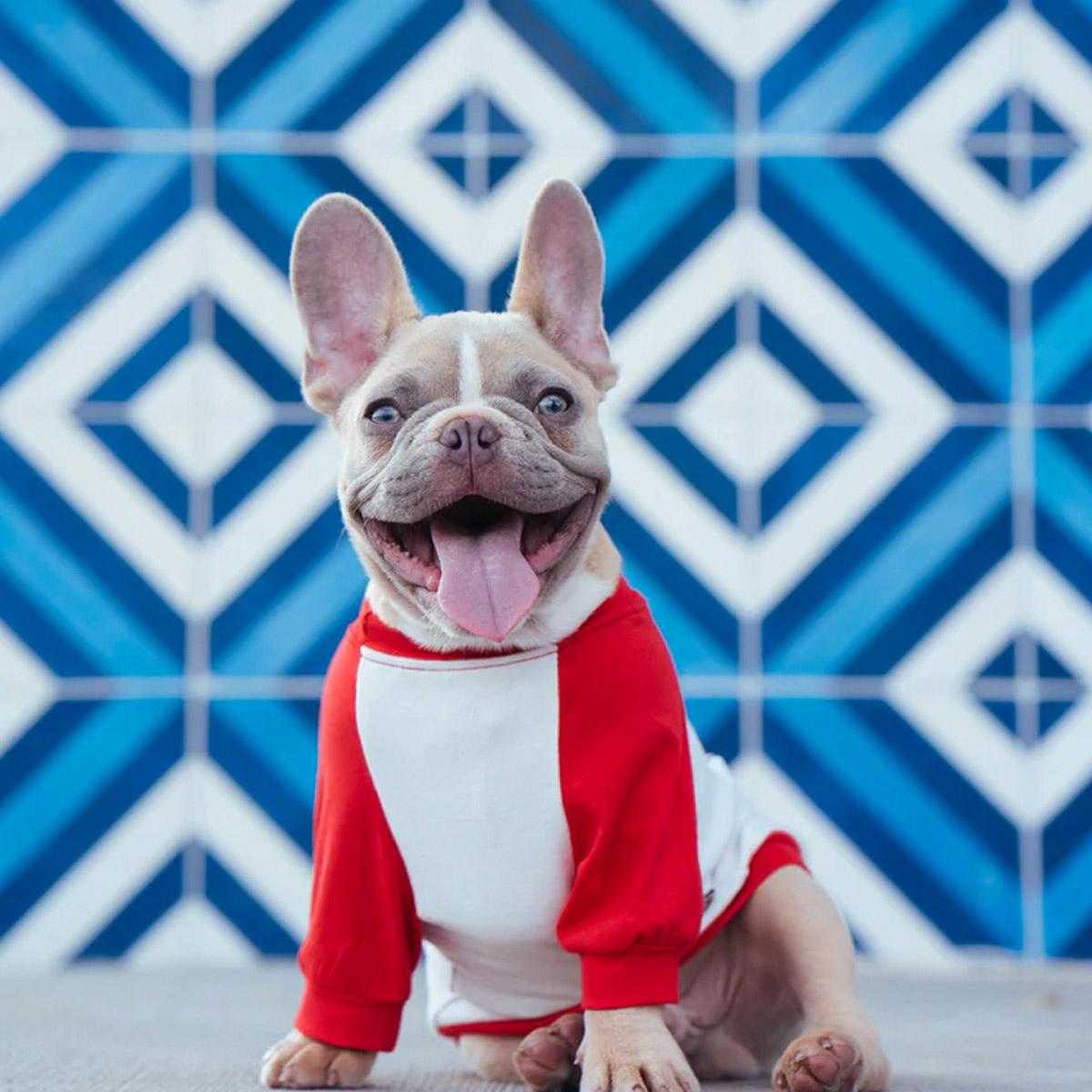 1200x1200 National Bulldogs are Beautiful Day