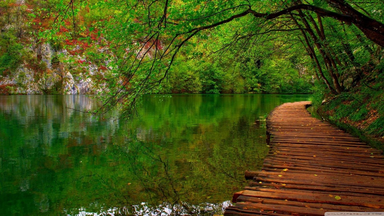 1600x900 Free download Fresh Nature Wallpaper HD 1600x900 Wallpaper teahubio [ 1600x900] for your Desktop, Mobile & Tablet. Explore Nature 1600x900 Wallpaper. Nature Wallpaper 1600x 1600x900 HD Wallpaper, Nature Wallpaper 1600x900