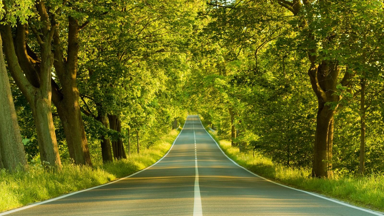 1600x900 Clear Road Nature 1600x900
