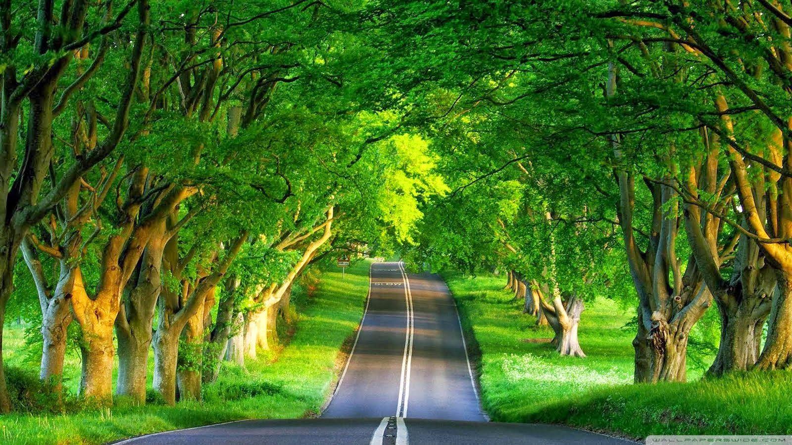 1600x900 Most Beautiful Nature Wallpaper