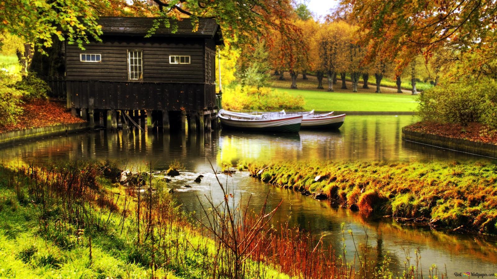 1600x900 Autumn and nature HD wallpaper download