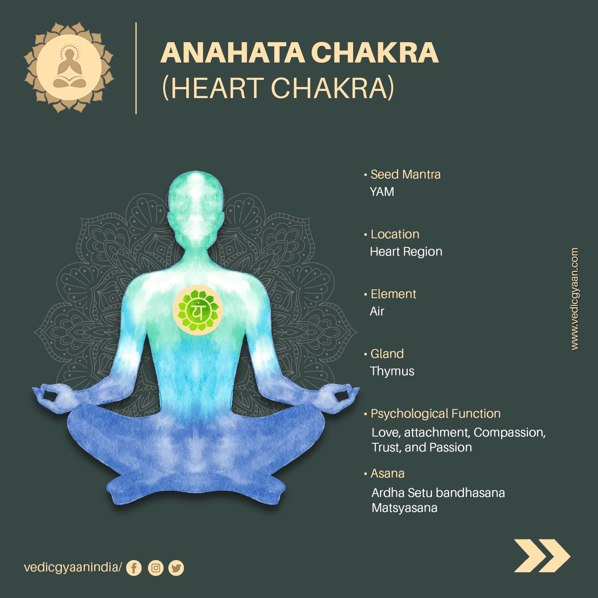 2000x2000 Vedic Gyaan must have read some books or have heard from many yogis about Chakras. But, do you know what chakras are? How do they work? In the Sanskrit
